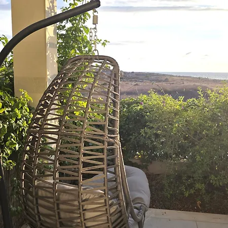 Daire H&o Lighthouse Gold